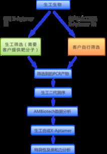 生工生物推出核酸適配體篩選試劑盒與服務(wù)，預(yù)訂享6折優(yōu)惠